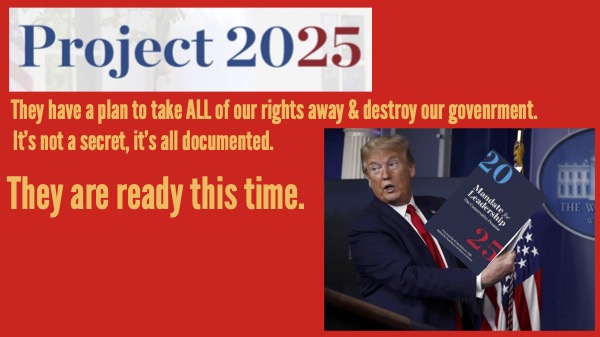 Project 2025 Page Graphic